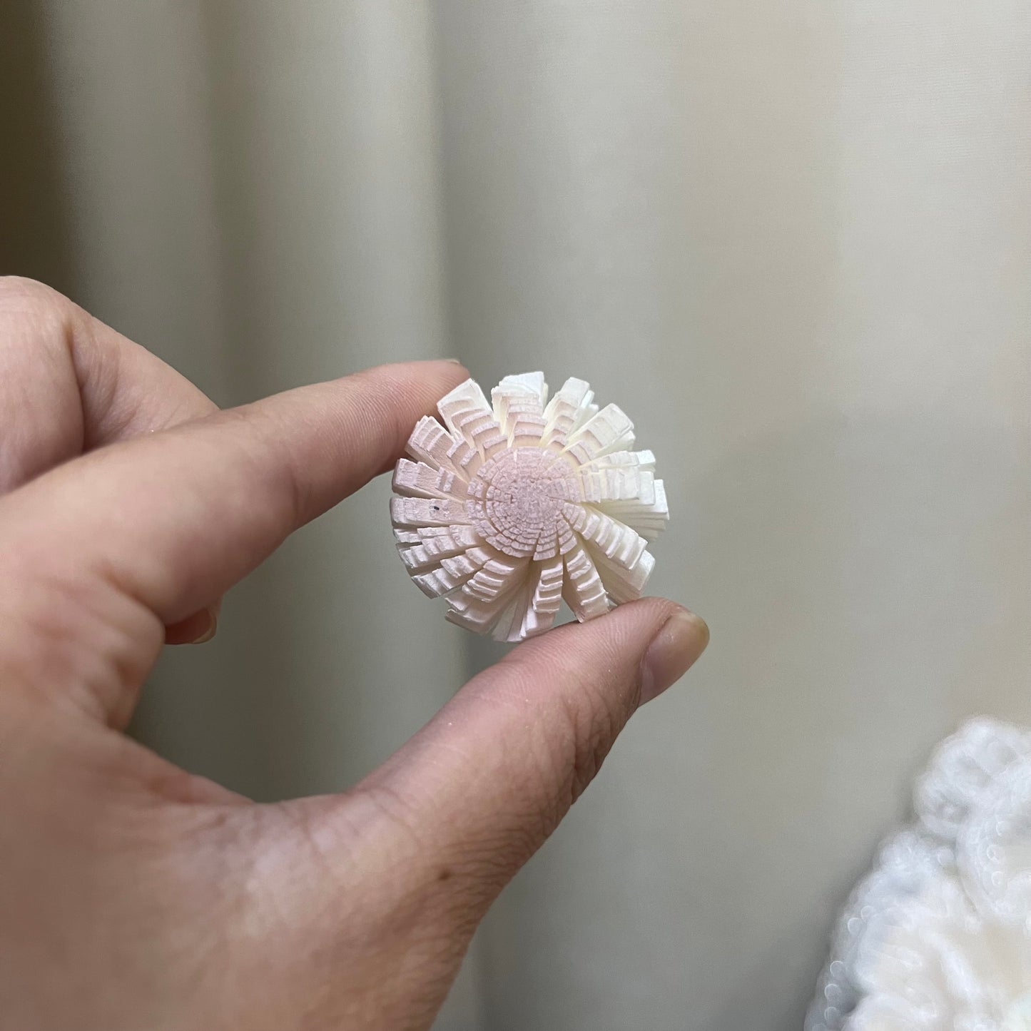 ✿ 台灣現貨 ✿ S-A 索拉花 3CM 通草花 擴香花 3CM 乒乓菊 小菊