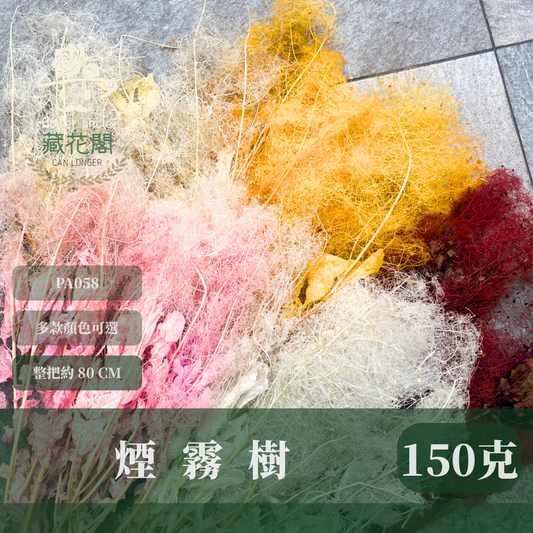 PA058 黃櫨 煙霧樹 夢幻草 黃櫨花 煙樹 霧花 霧中情人 永生 原裝/小份