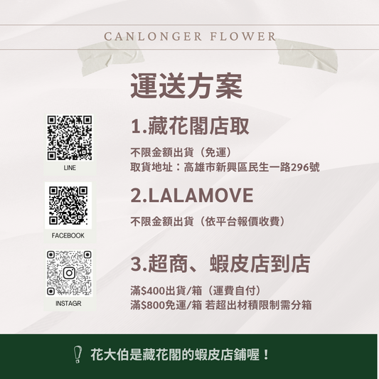 PF004S 卡斯比亞/情人草 10克 永生花 吸色/漂色 小份量