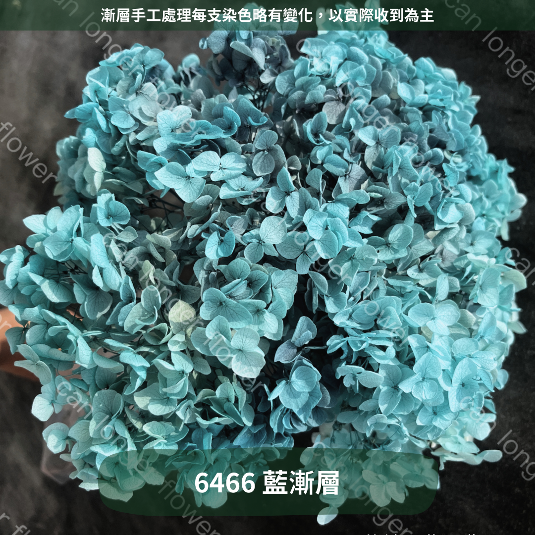 ✿ 台灣現貨 ✿ PF005 安娜繡球 單支 繡球花 繡球 紫陽花
