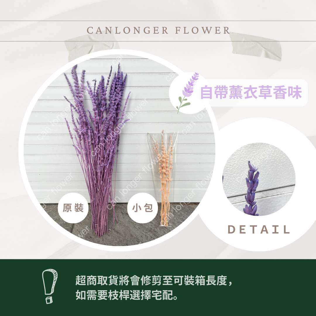 ✿ 台灣現貨 ✿ PA056 薰衣草