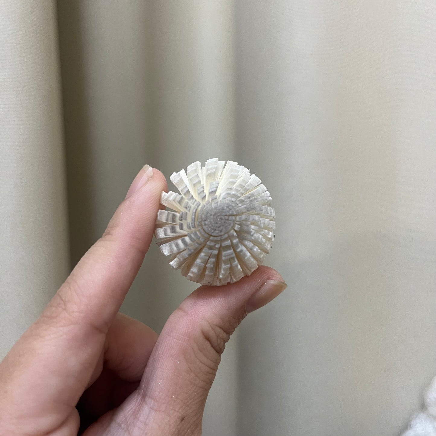 ✿ 台灣現貨 ✿ S-A 索拉花 3CM 通草花 擴香花 3CM 乒乓菊 小菊