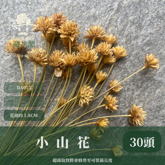 ✿ 台灣現貨 ✿。DA055。小山花 矢車菊