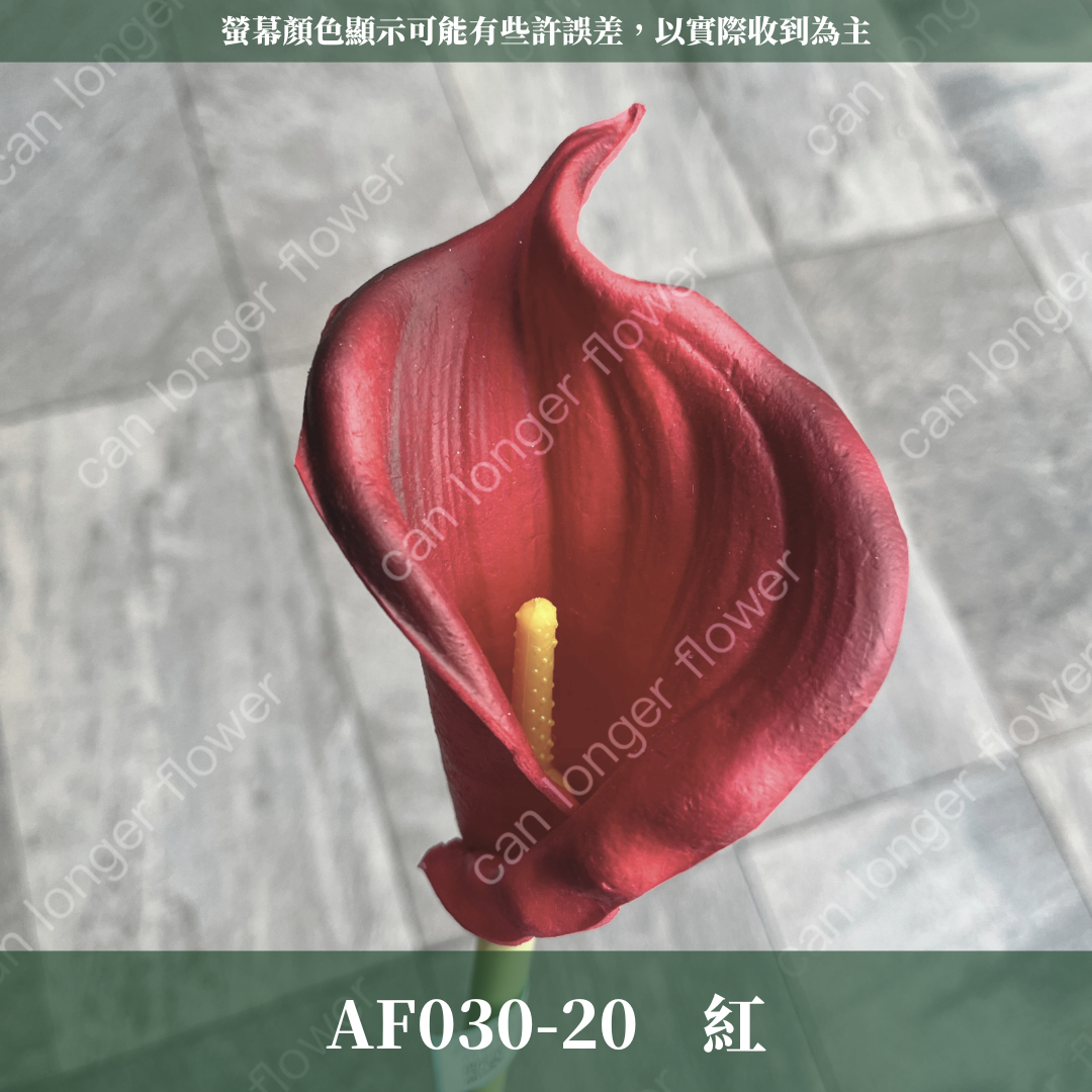 AF030 仿真海芋(單支) 仿真花