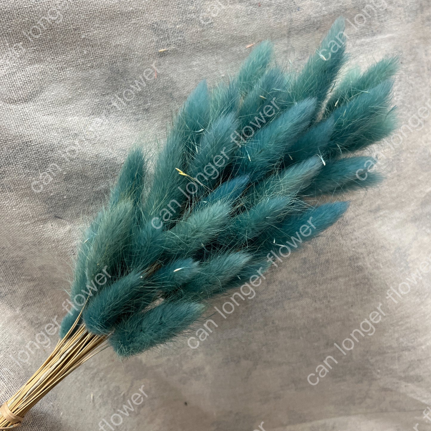 ✿ 台灣現貨 ✿ DA001 兔尾草 原裝約50-60支