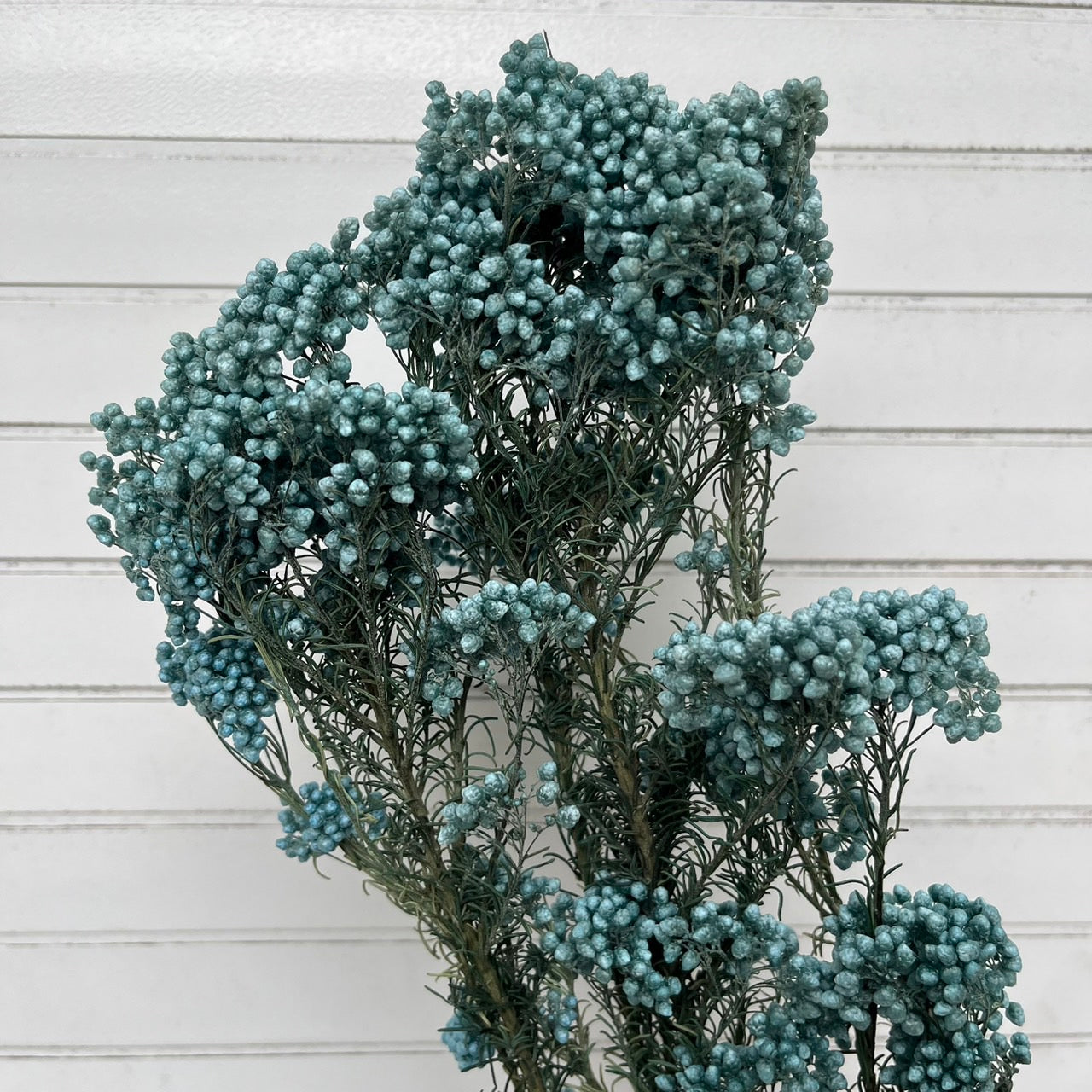 【台灣現貨】PA004米香 水稻花 小米花 永生 花瓶插花保鮮花 拍攝拍照背景 婚禮小物 居家佈置
