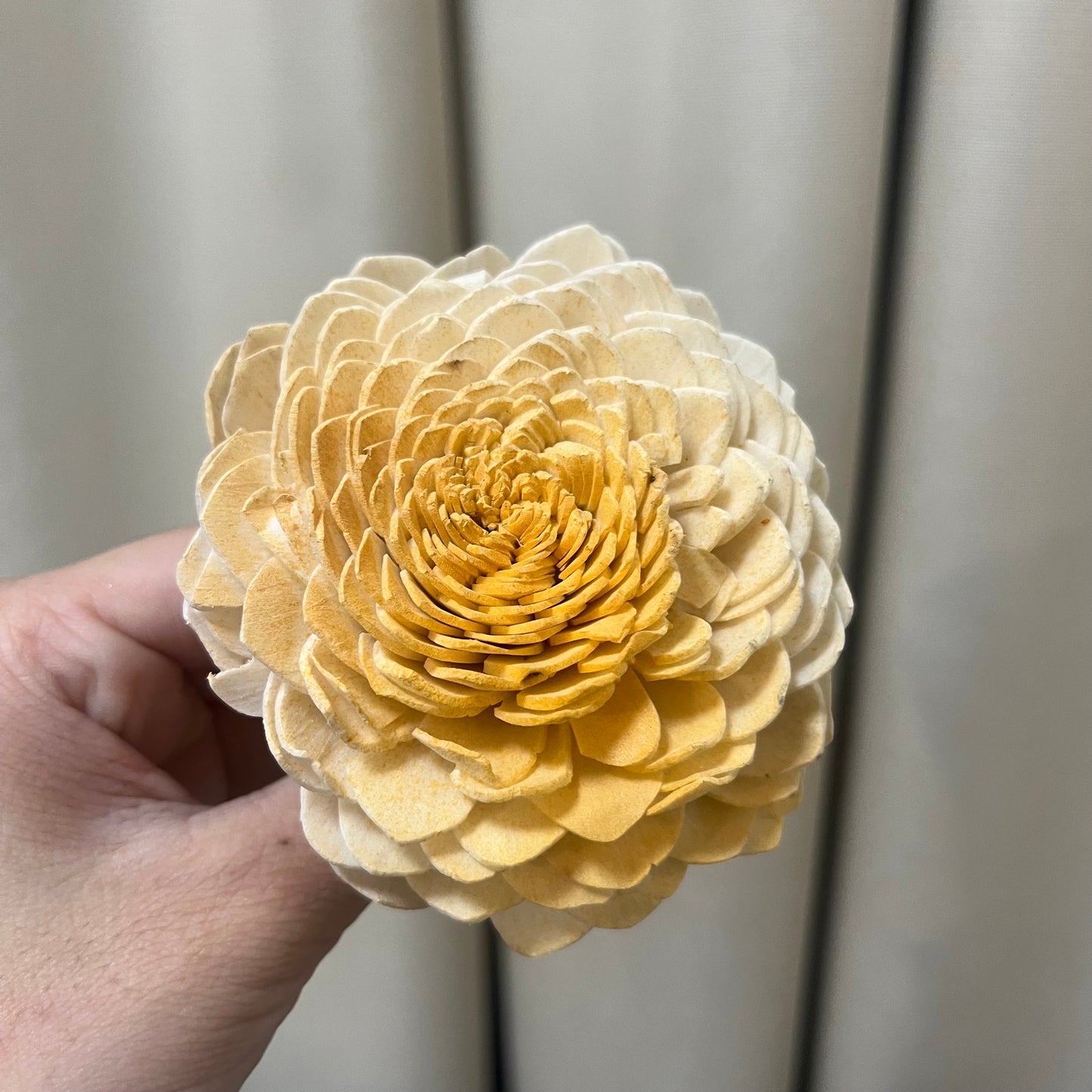 ✿ 台灣現貨 ✿ S-D 索拉花 8CM 通草花 擴香花 太陽玫瑰