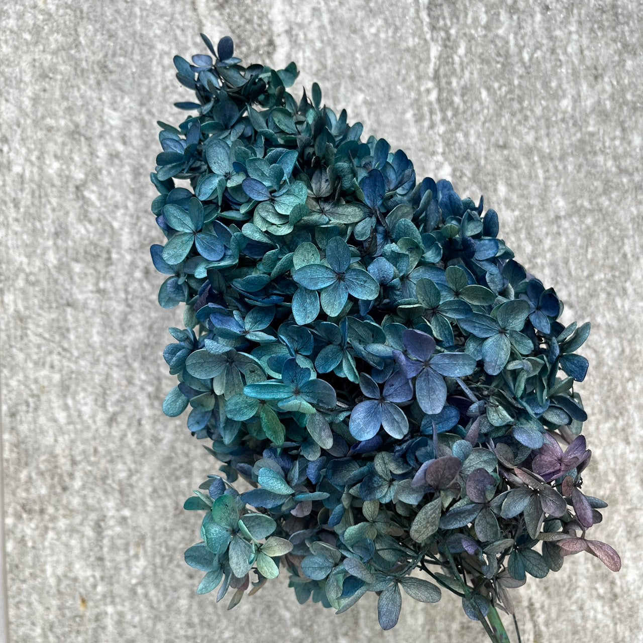 ✿ 台灣現貨 ✿ PF005C-S 盒裝金字塔繡球(約10克) 盒裝 塔繡球 木繡球 永生 漸變 小份量 DIY花材 花藝