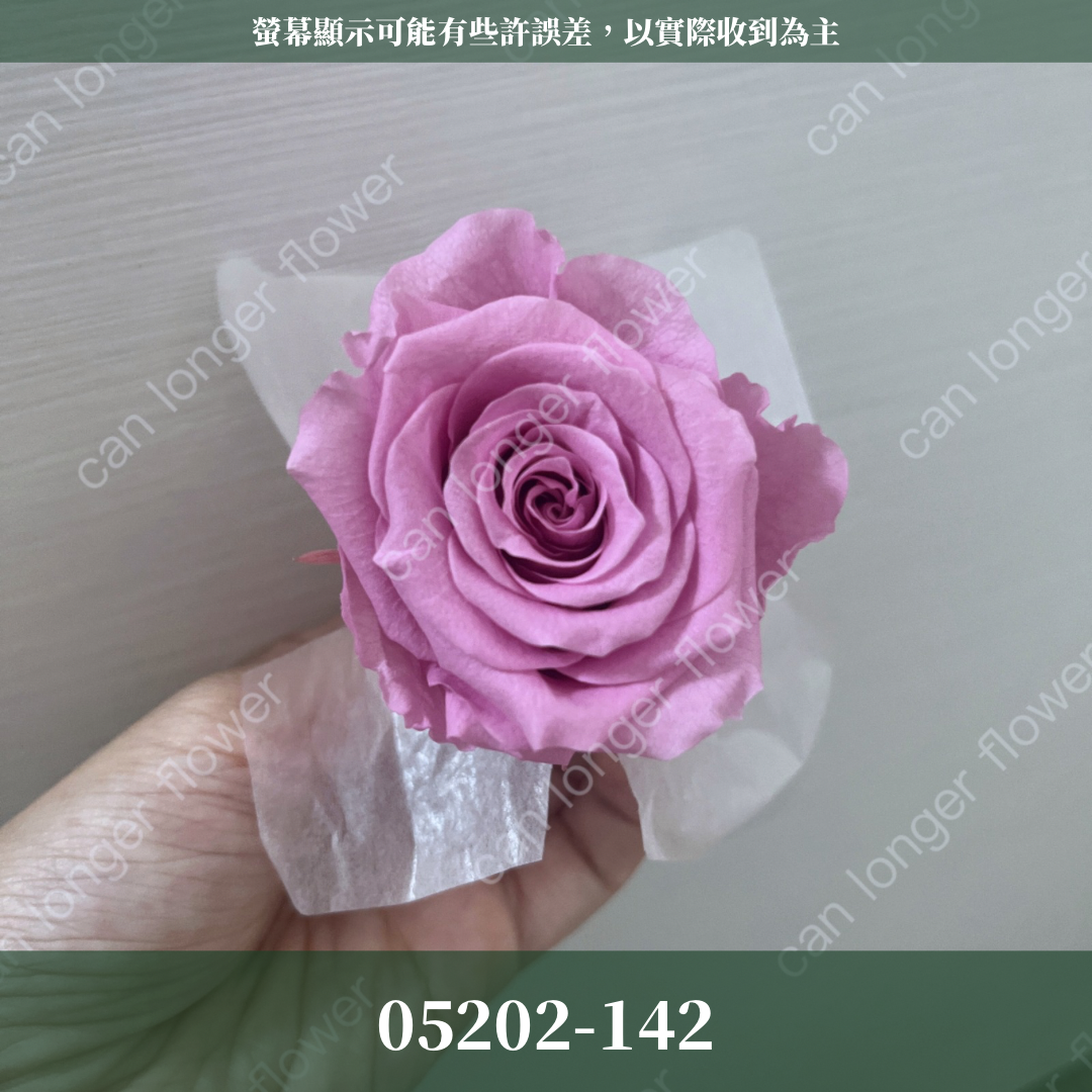 05202 大玫瑰