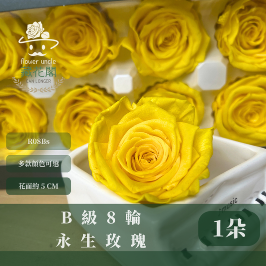 R08Bs B級八輪永生玫瑰 5cm玫瑰 單朵 永生花 不凋花 台灣現貨