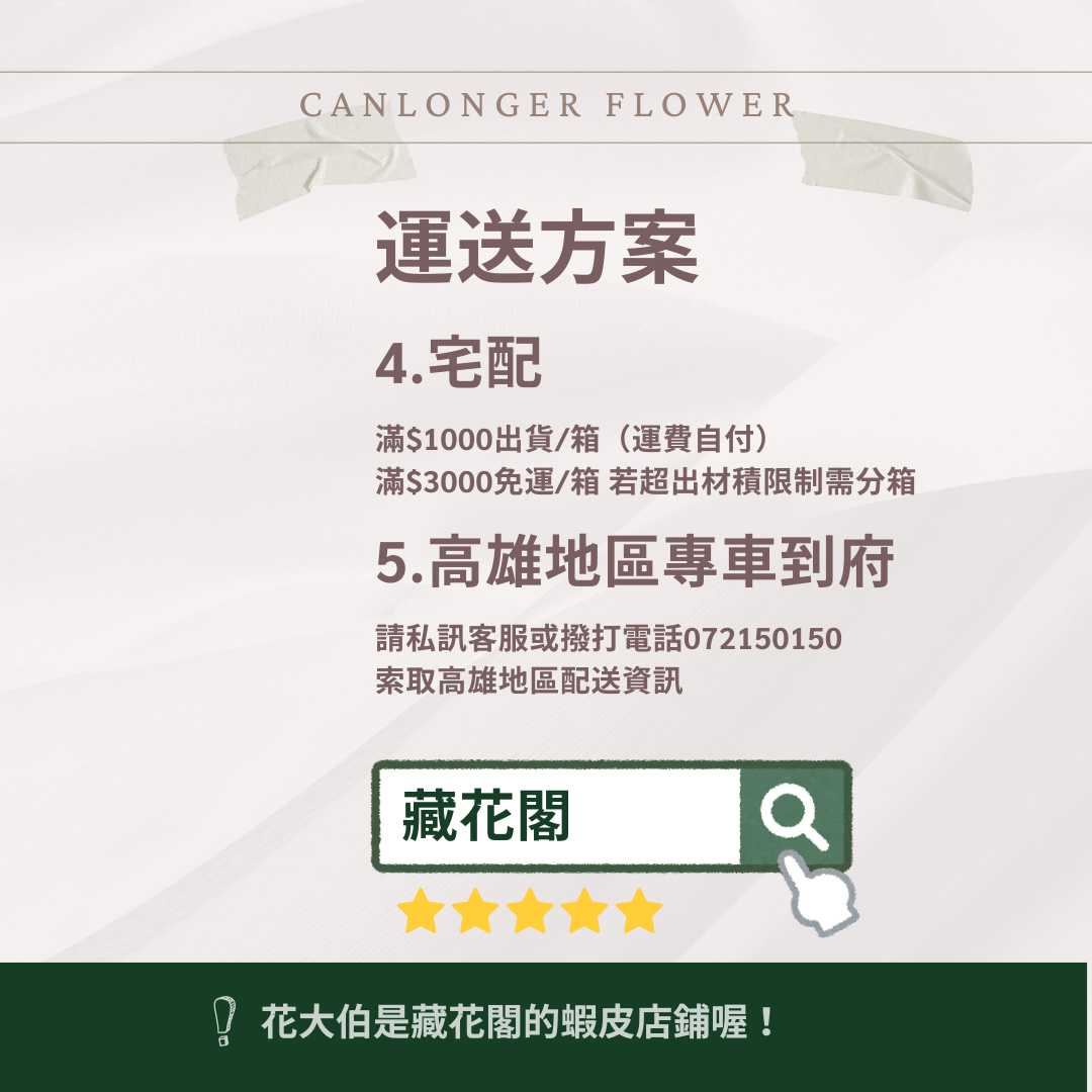 ✿ 台灣現貨 ✿ 花大伯 日本大地農園 02380 康乃馨5~6.5cm 8朵裝 原裝 款式色彩齊全 不凋主花