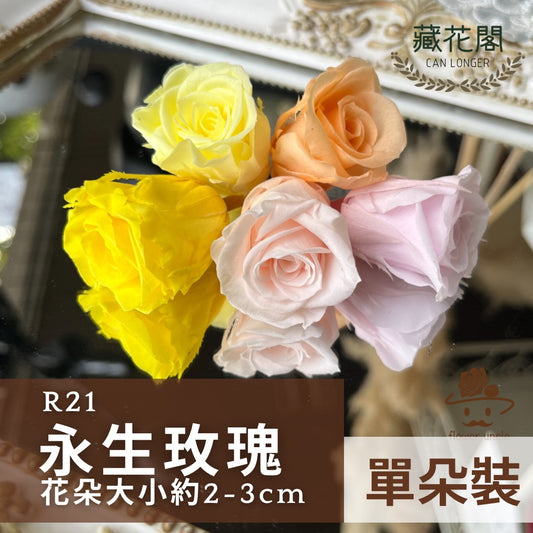 R21 二十一輪玫瑰