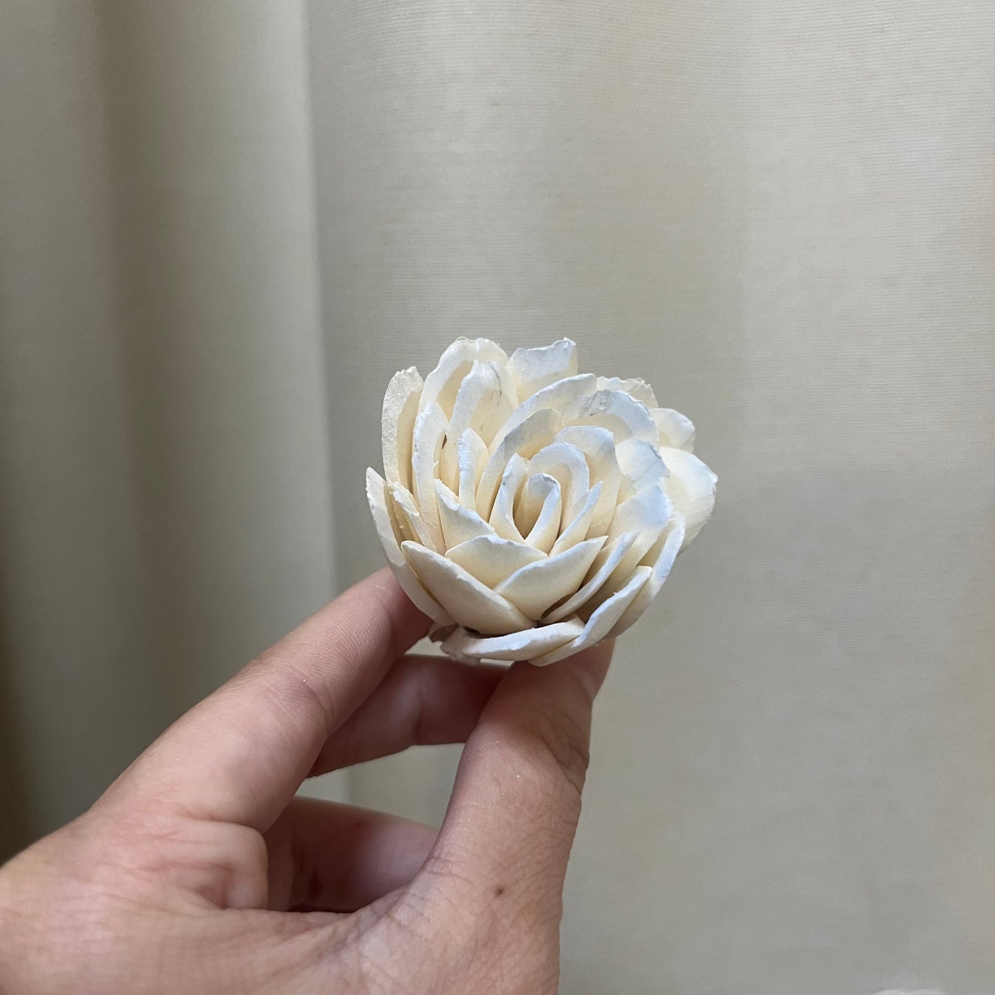 ✿ 台灣現貨 ✿ S-X 索拉花 4CM 通草花 擴香花 鬱金香