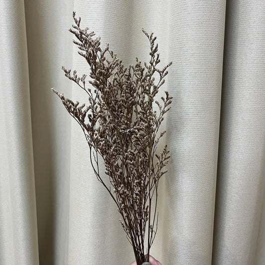 PF004卡斯比亞/情人草 永生花 吸色/漂色 小份量 不凋花 捧花 攝影道具 裝飾