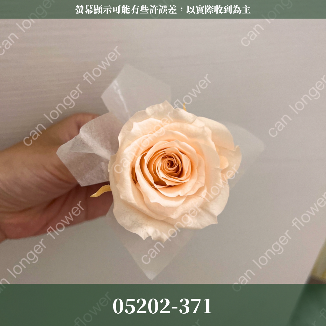 05202 大玫瑰