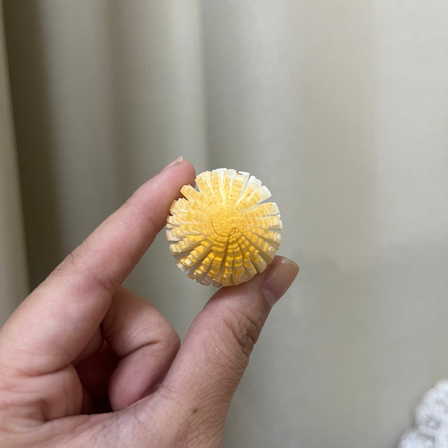✿ 台灣現貨 ✿ S-A 索拉花 3CM 通草花 擴香花 3CM 乒乓菊 小菊