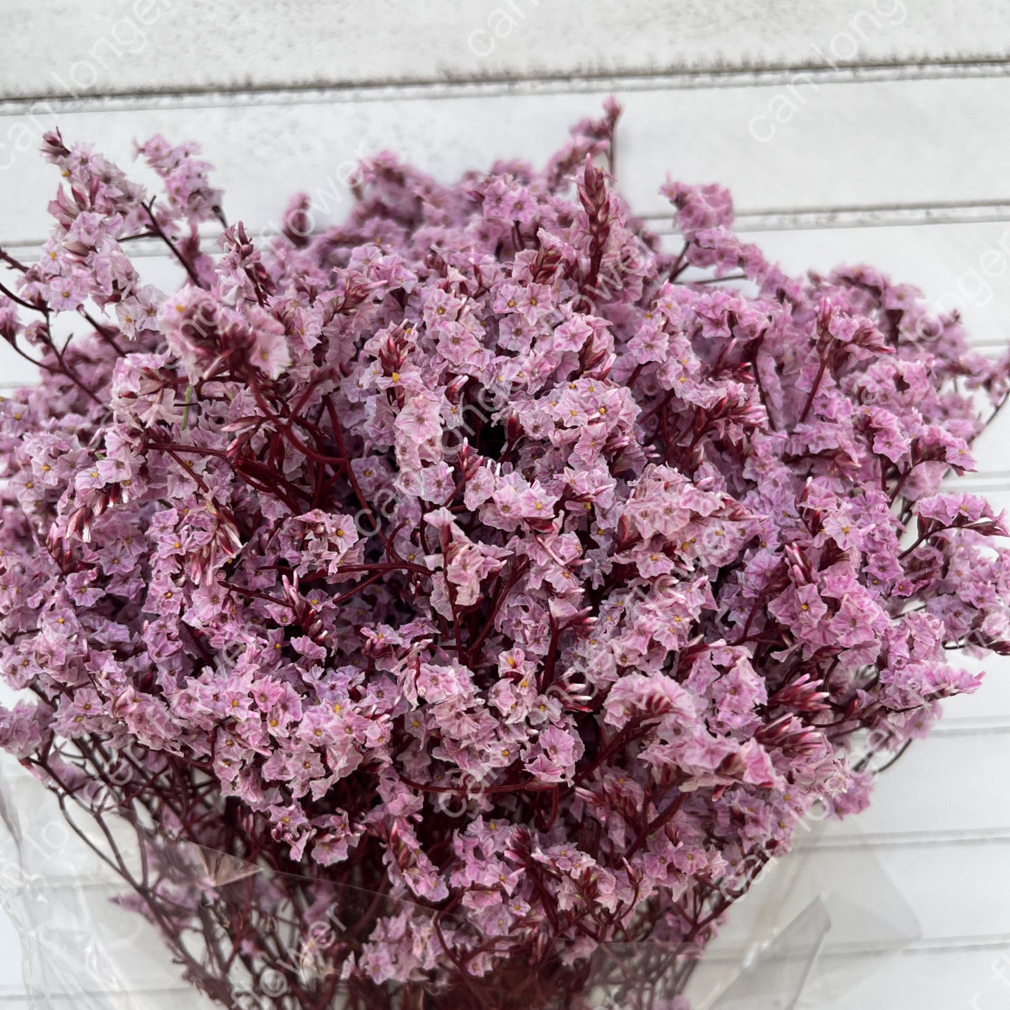 ✿ 台灣現貨 ✿ PF008水晶花 原裝