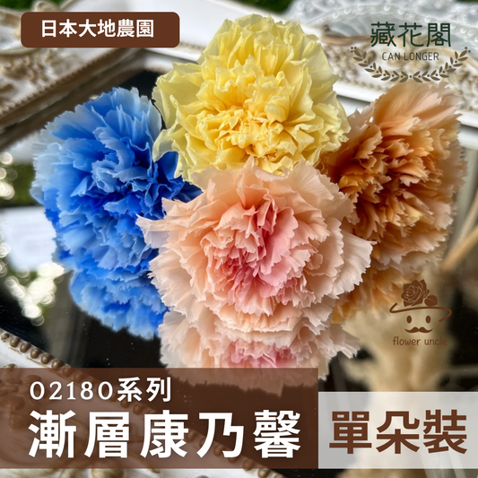 02180/02182 康乃馨5~6.5cm 單朵拆售 獨立包裝 滿8朵享湊盒優惠 永生玫瑰 不凋玫瑰 主花