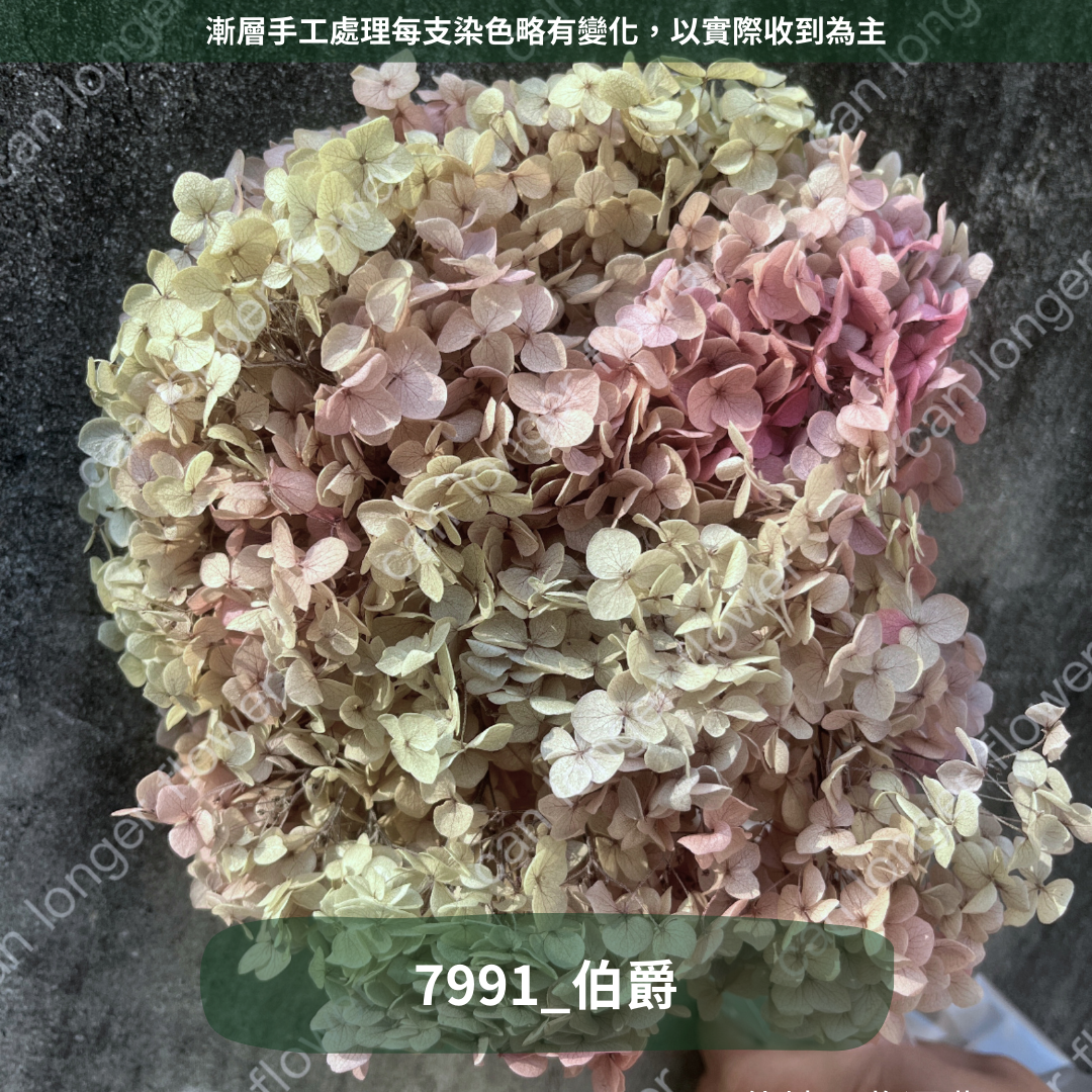 ✿ 台灣現貨 ✿ PF005 安娜繡球 單支 繡球花 繡球 紫陽花