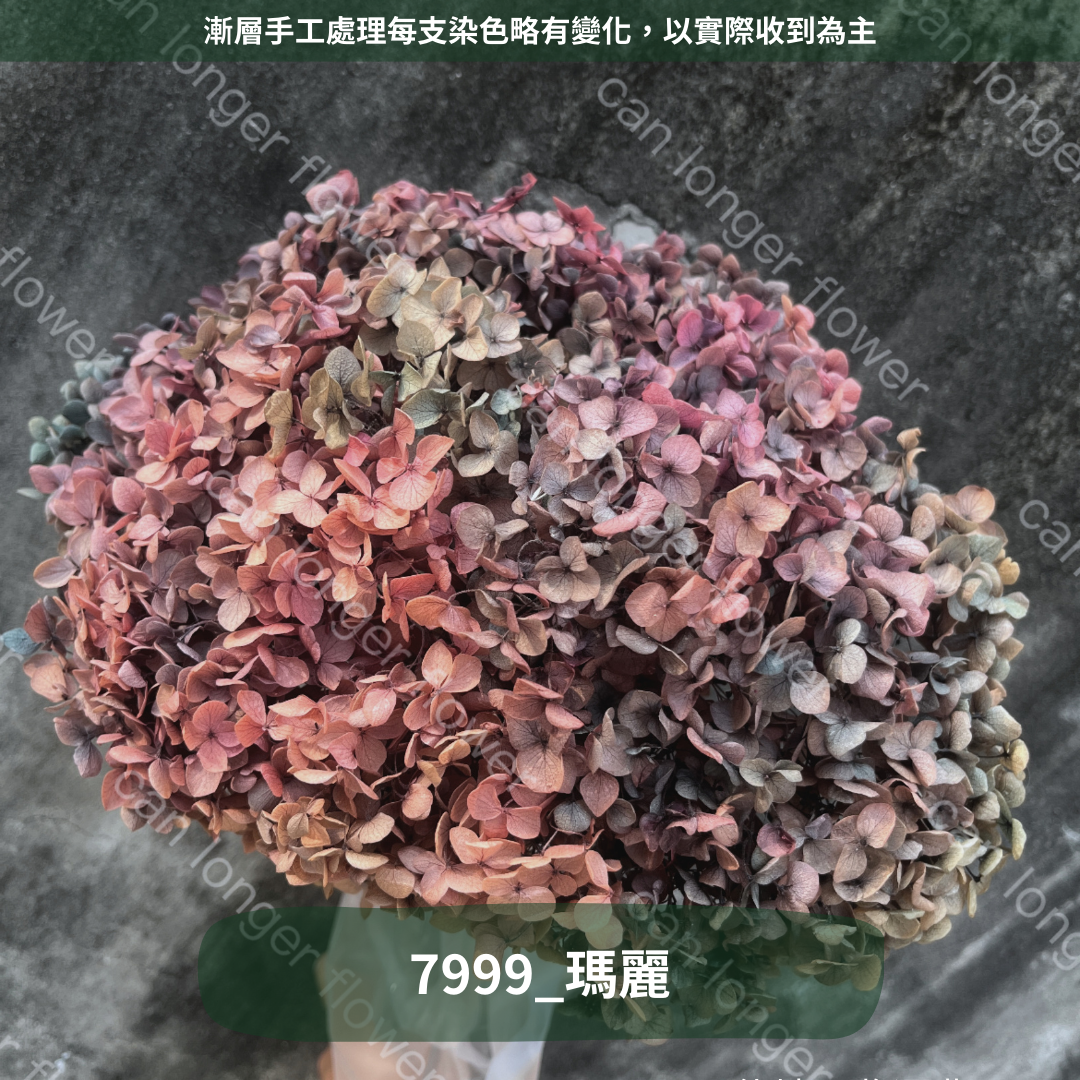 ✿ 台灣現貨 ✿ PF005 安娜繡球 單支 繡球花 繡球 紫陽花