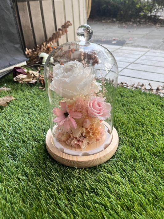 gift-g042永生花罩盅L(帶燈)