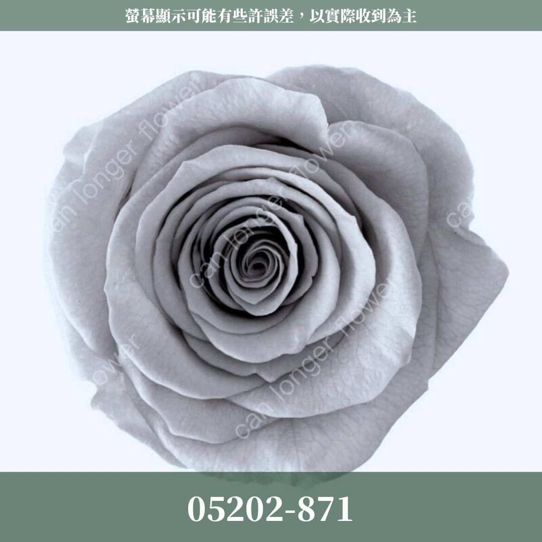 05202 大玫瑰