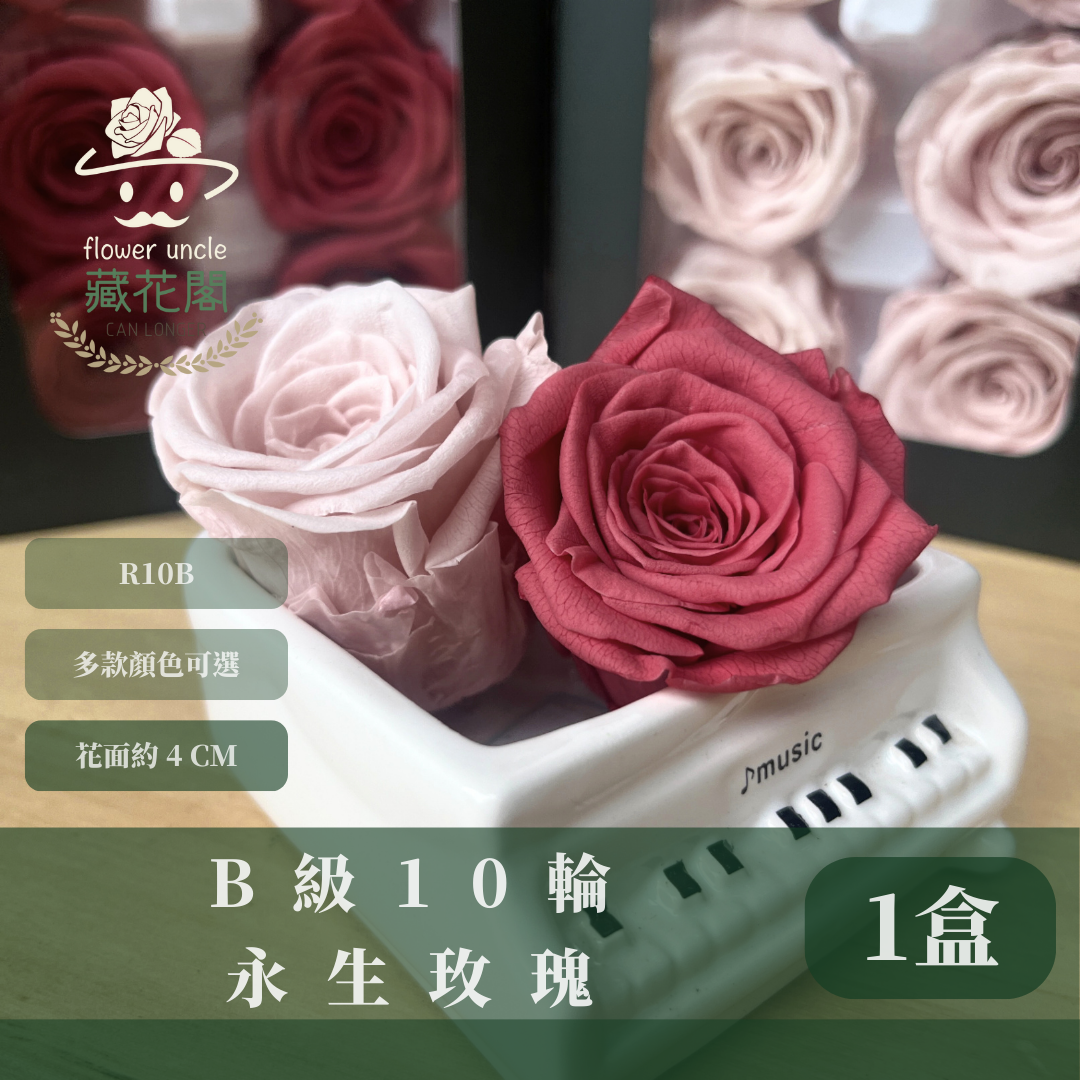 R10B B級永生玫瑰盒裝 4m玫瑰 單朵 永生花 不凋花 台灣現貨