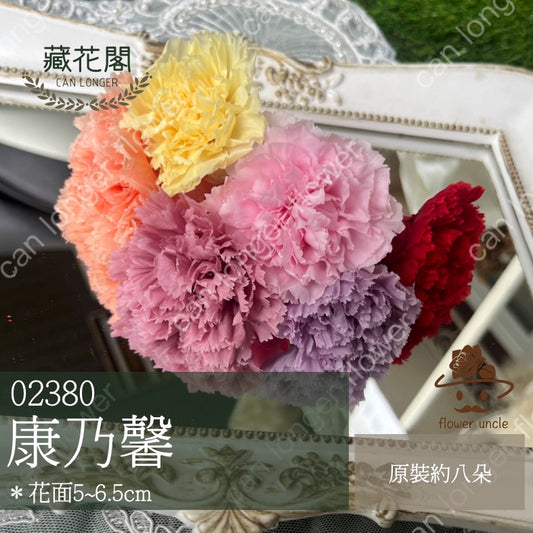 ✿ 台灣現貨 ✿ 花大伯 日本大地農園 02380 康乃馨5~6.5cm 8朵裝 原裝 款式色彩齊全 不凋主花