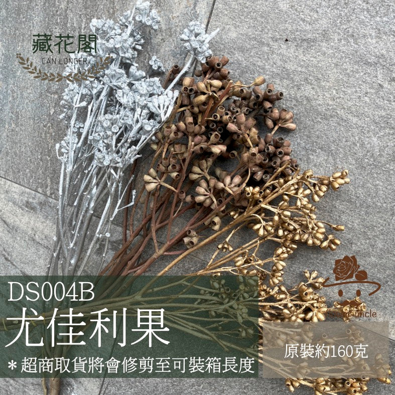 ✿ 台灣現貨 ✿ DS004B 尤佳利果 殭屍果