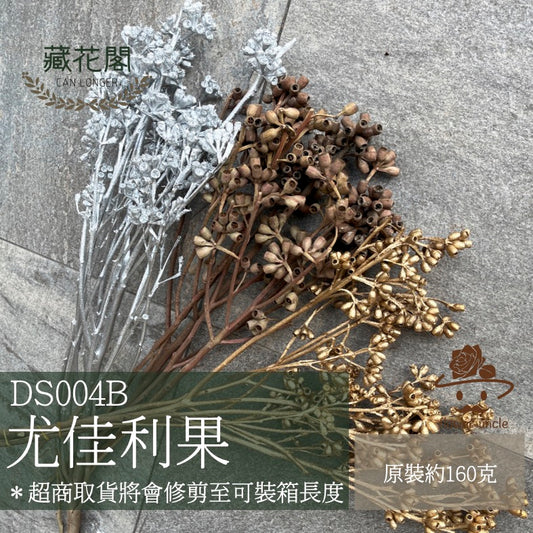 ✿ 台灣現貨 ✿ DS004B 尤佳利果 殭屍果