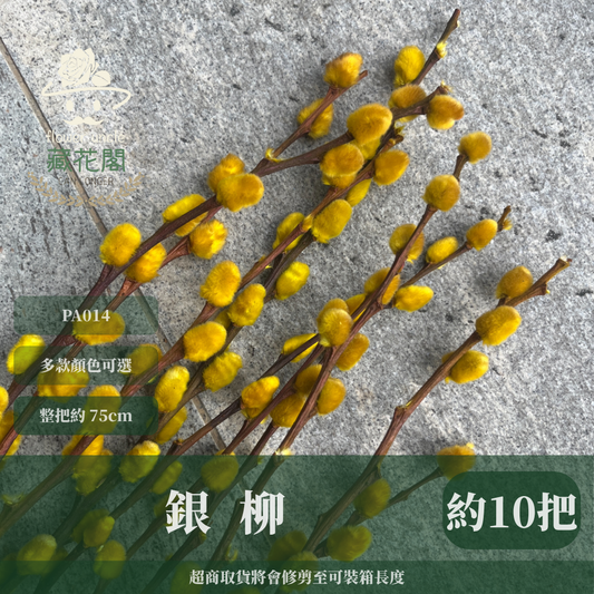 ✿ 台灣現貨 ✿ PA014s 銀柳 小包 貓柳 細柱柳 (副本)