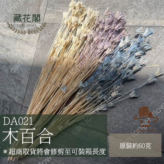 ✿ 台灣現貨 ✿ DA021 木百合 原裝