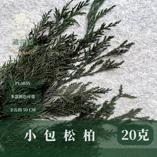 PL005S 松柏 (20g) 小份量 台灣現貨 小份花材