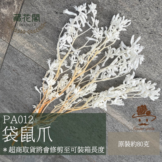 ✿ 台灣現貨 ✿ PA012s 袋鼠爪 小包 鼠爪花 (副本)