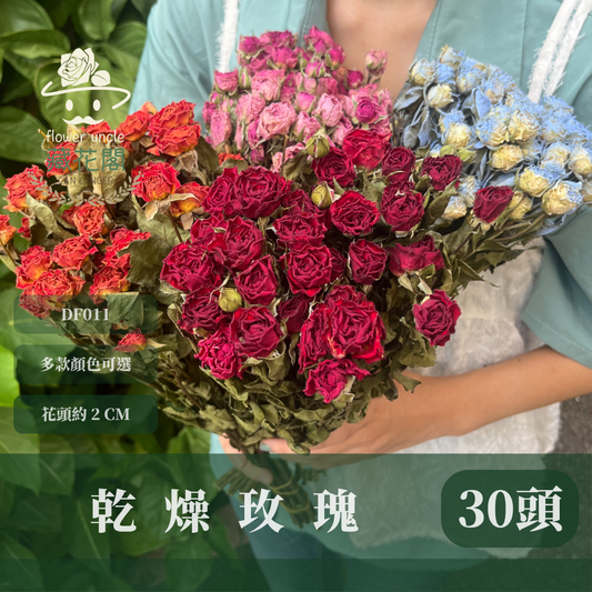 DF011 乾燥玫瑰 約30頭