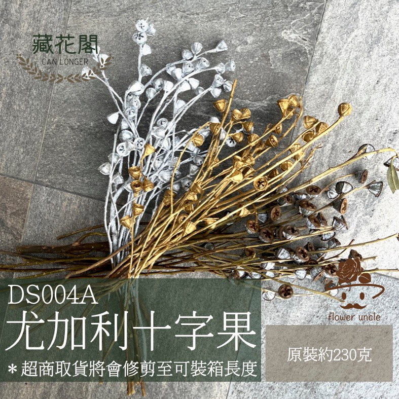 ✿ 台灣現貨 ✿ DS004A 尤加利果 十字果