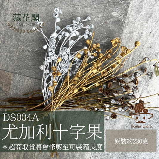 ✿ 台灣現貨 ✿ DS004A 尤加利果 十字果