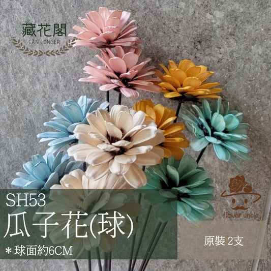 ✿ 台灣現貨 ✿ SH53 瓜子花(球) 原裝 2支裝
