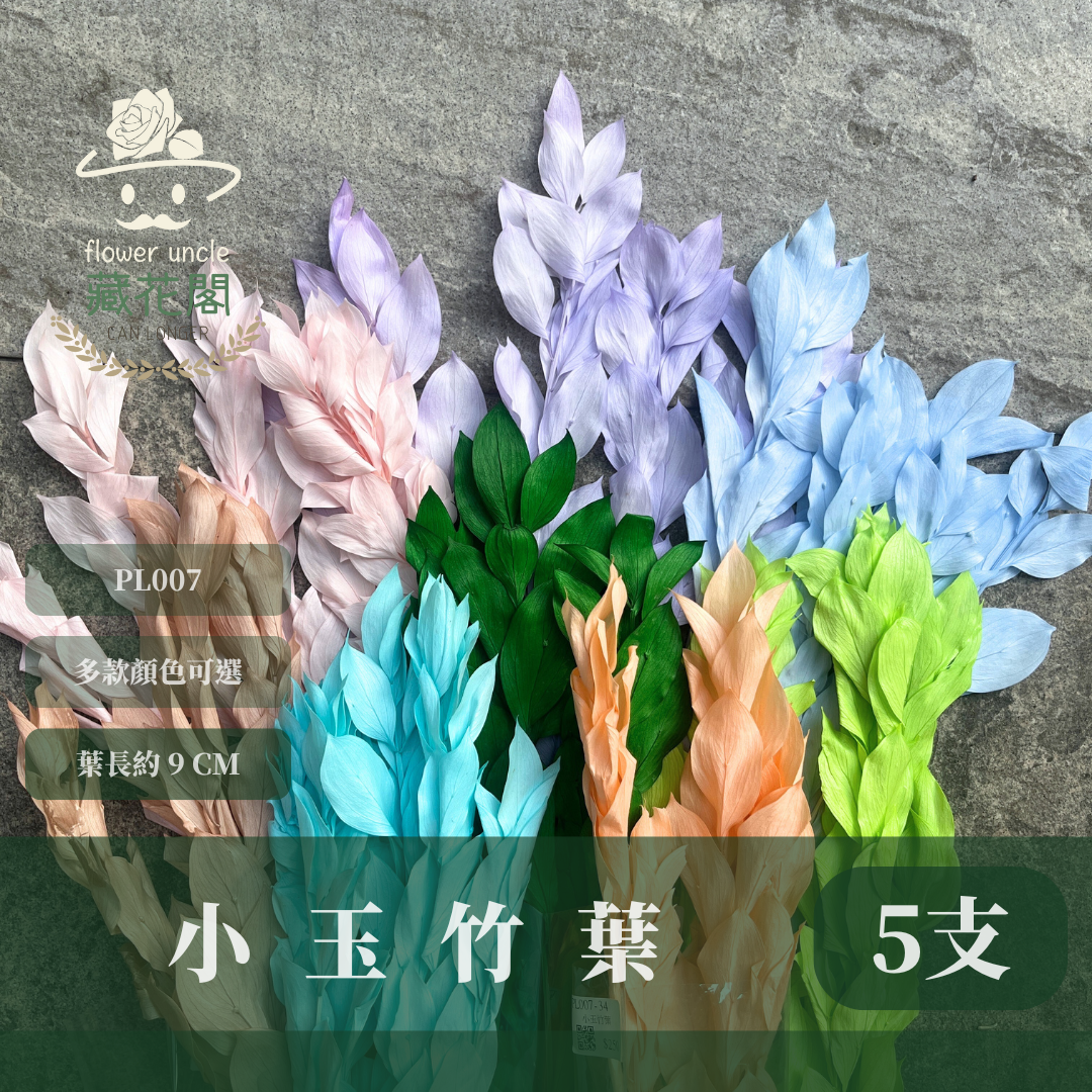 PL007 小玉竹葉 玉竹葉 桔葉 永生 原裝 台灣現貨