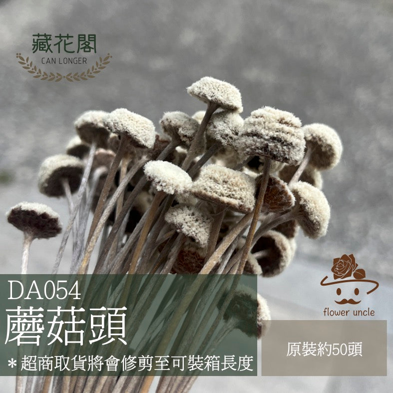 ✿ 台灣現貨 ✿ DA054 蘑菇頭 小鈕釦