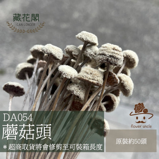 ✿ 台灣現貨 ✿ DA054 蘑菇頭 小鈕釦