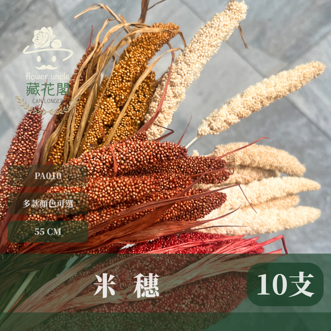 PA010s 米穗 小份量 粟米穗 小米穗 紅米穗 黃米穗 小份量 台灣現貨