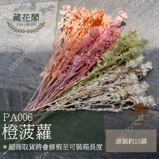 ✿ 台灣現貨 ✿ PA006ｓ 橙菠蘿 (副本)