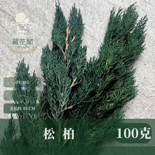 PL005 松柏 永生松柏 100克 台灣現貨