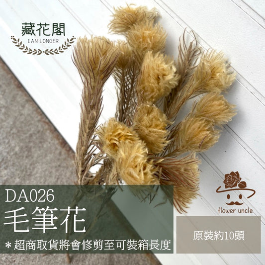 ✿ 台灣現貨 ✿ DA026 毛筆花