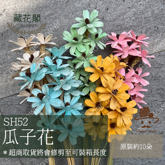 ✿ 台灣現貨 ✿ SH52 瓜子花 原裝 10支裝
