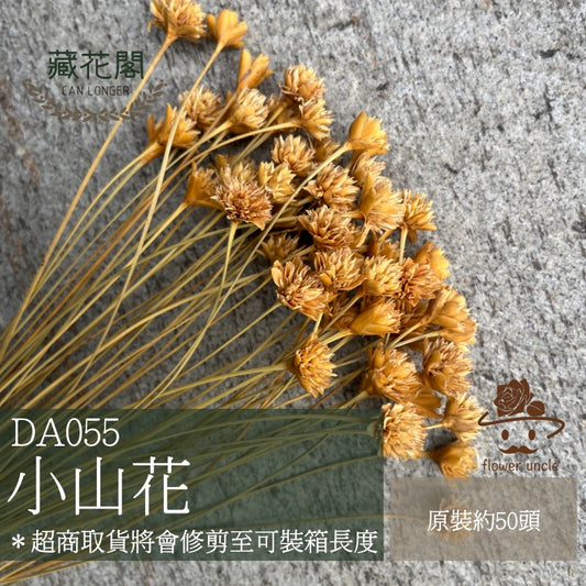 ✿ 台灣現貨 ✿ DA055 小山花 矢車菊
