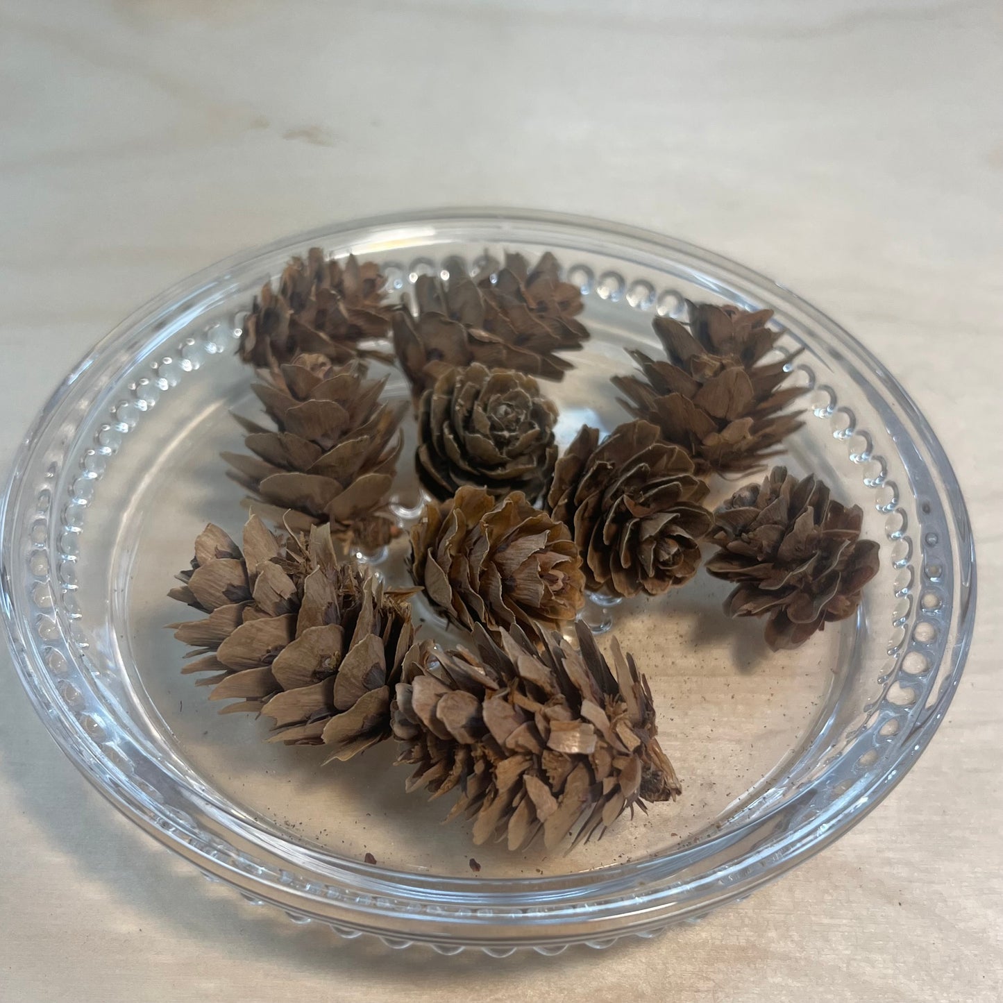 【台灣現貨】DS002綜合果實 日本果實 松果 尤加利果 桉樹果 款式齊全 聖誕花材 裝飾 材料包