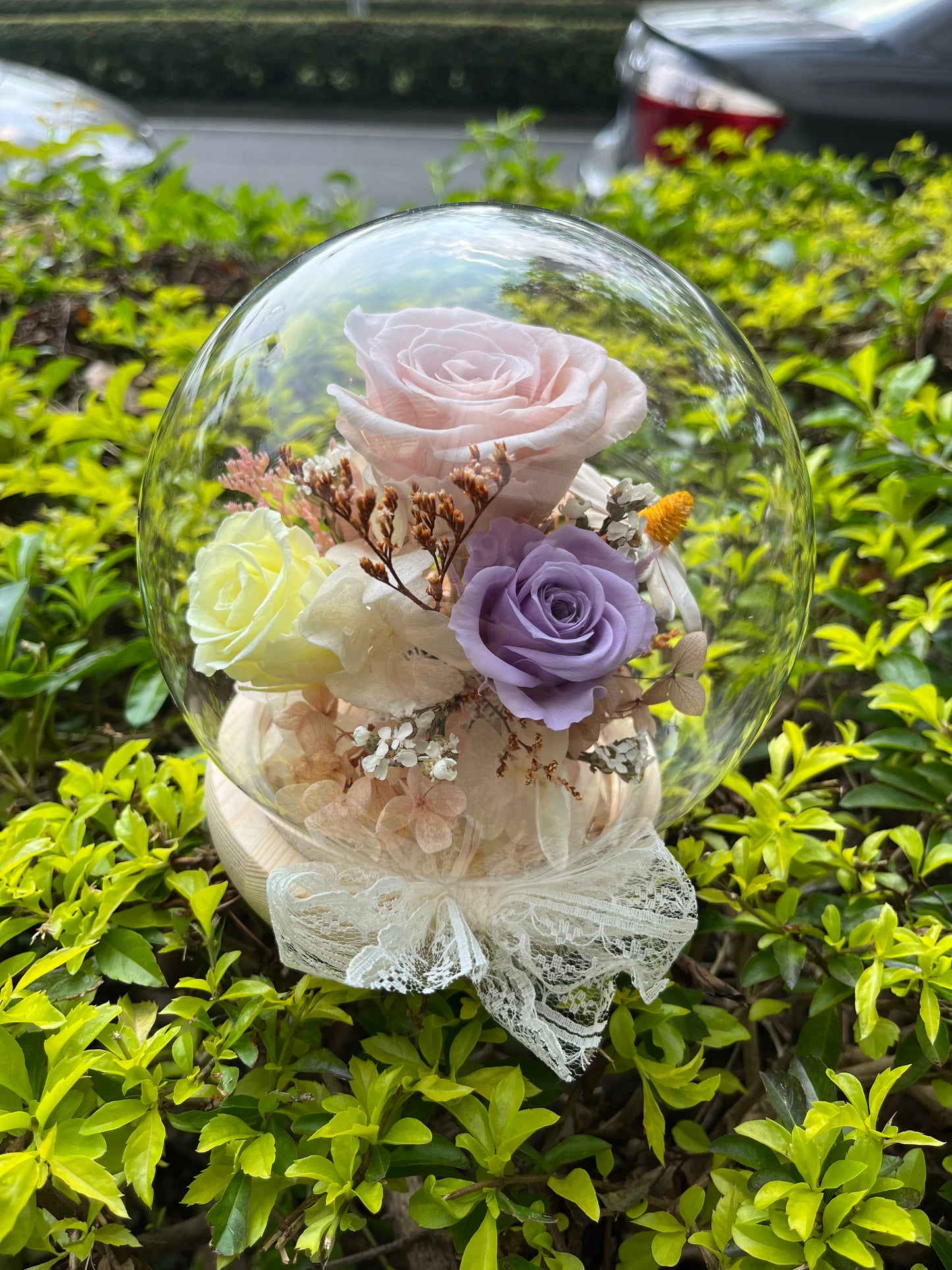 gift-g019永生花罩盅M
