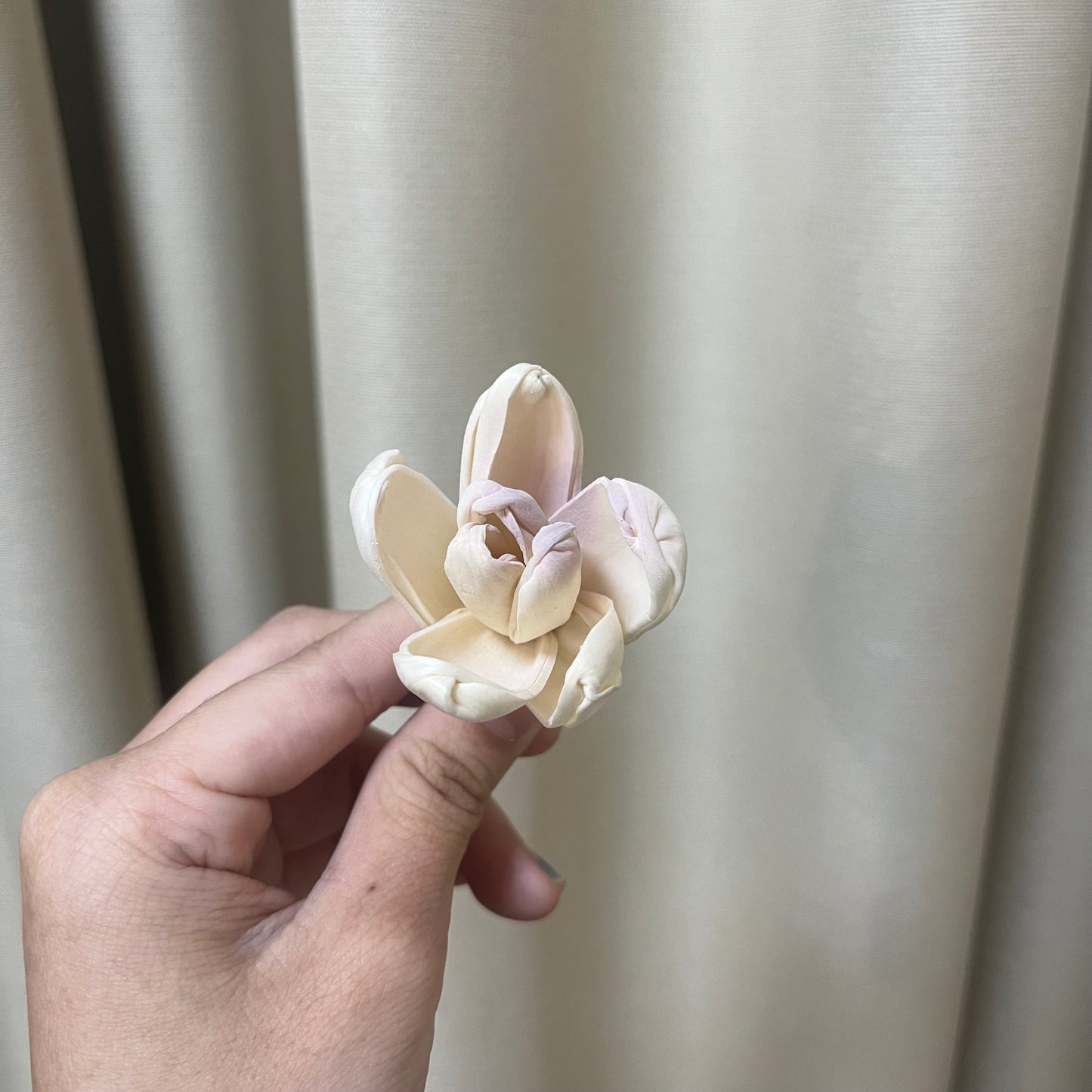 ✿ 台灣現貨 ✿ S-Y 索拉花 4CM 通草花 擴香花